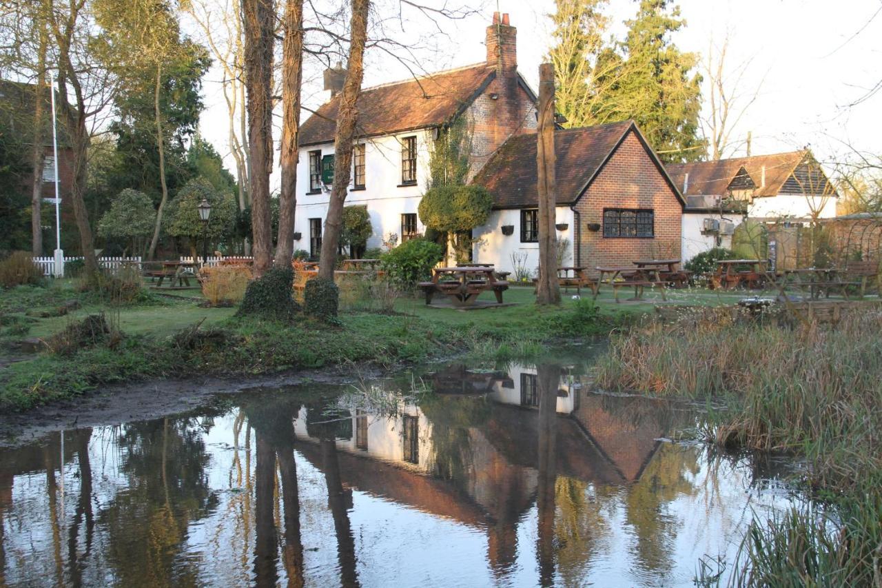 Lane End Cottage Ovington  외부 사진