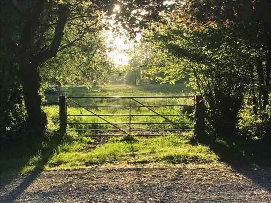 Lane End Cottage Ovington  외부 사진